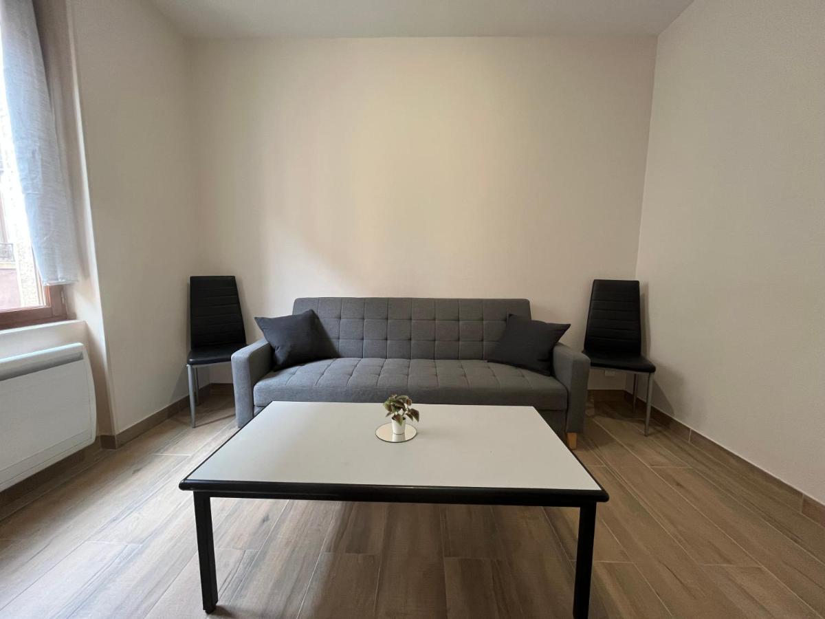 Appartement Renove A 15 Min De Lyon Saint-Fons ภายนอก รูปภาพ