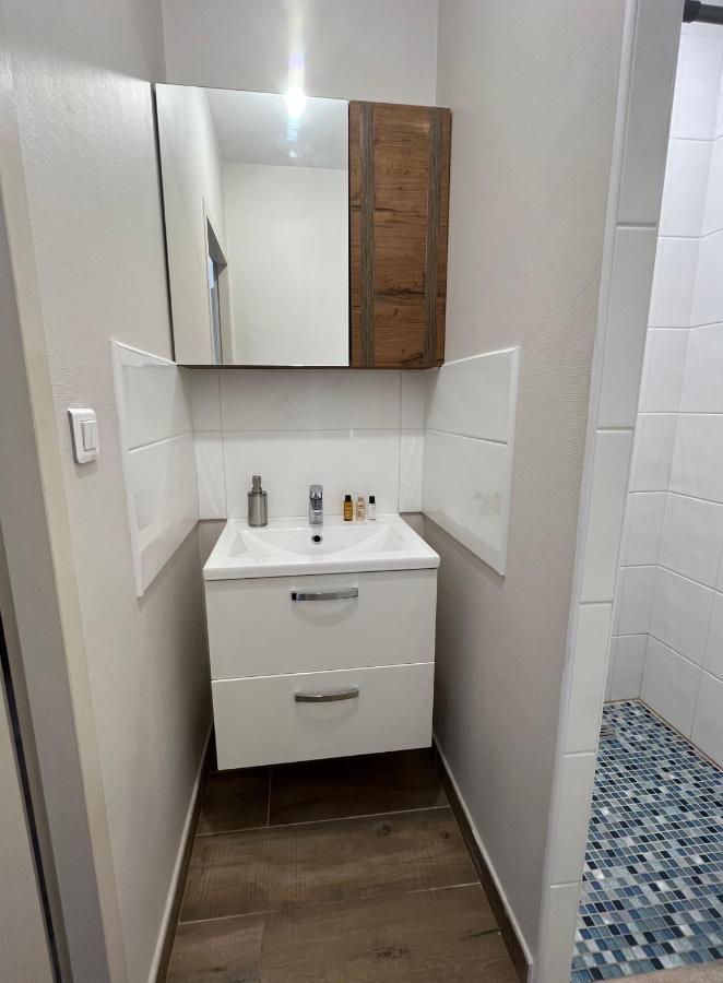 Appartement Renove A 15 Min De Lyon Saint-Fons ภายนอก รูปภาพ